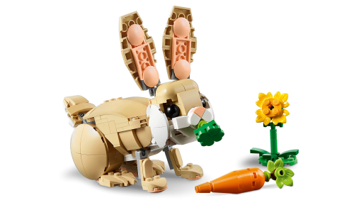 Set 31162