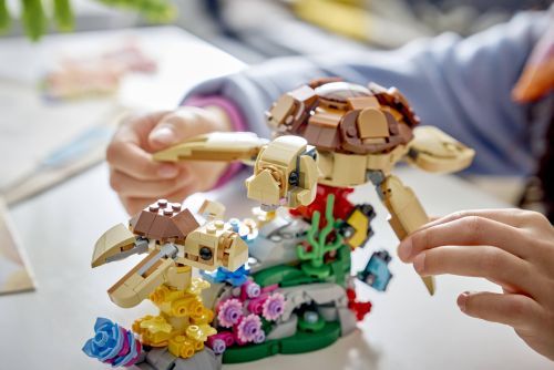 Set 31388