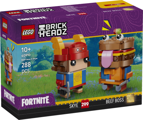 Set 40910