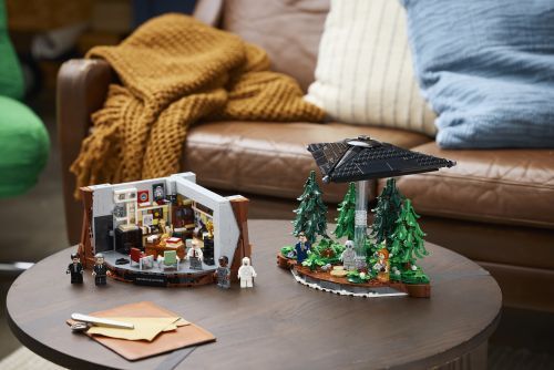 Set 21369