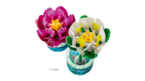 Set 11511