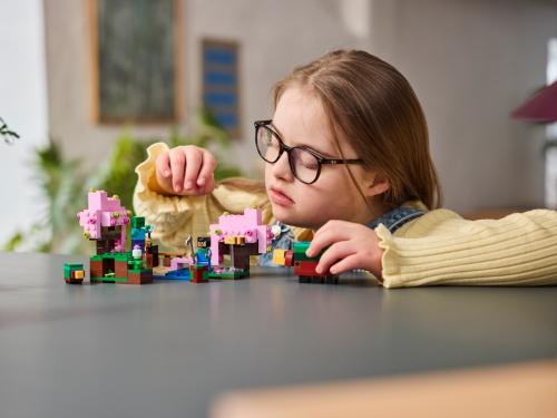 Set 21260