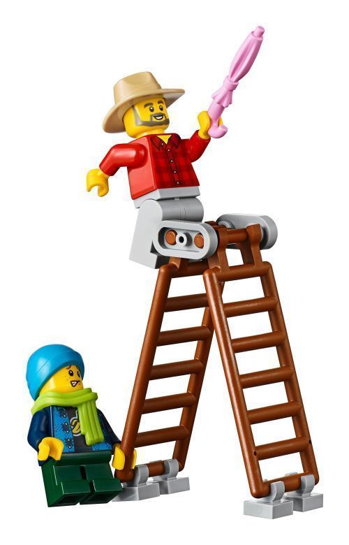 Set 10270