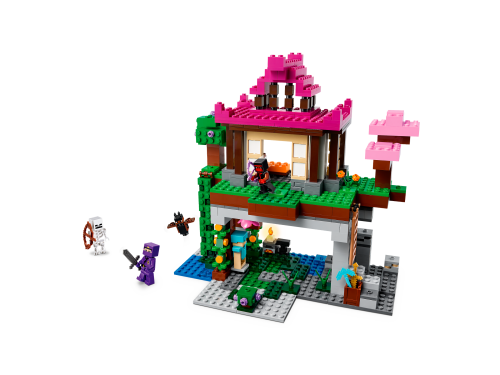 Set 21183