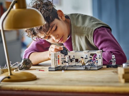 Set 75387