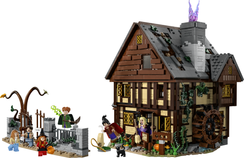 Set 21341