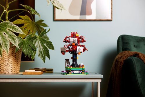 Set 21346