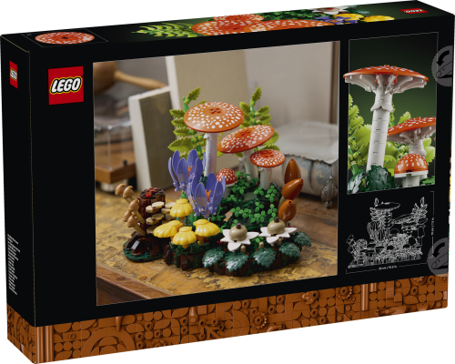 Set 11505