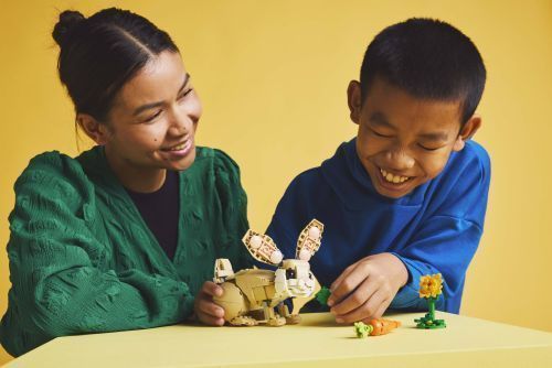 Set 31162