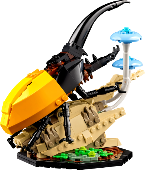 Set 21342