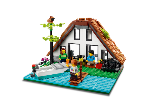 Set 31139