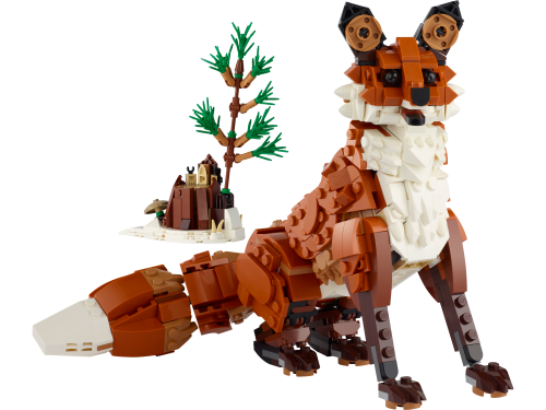 Set 31154