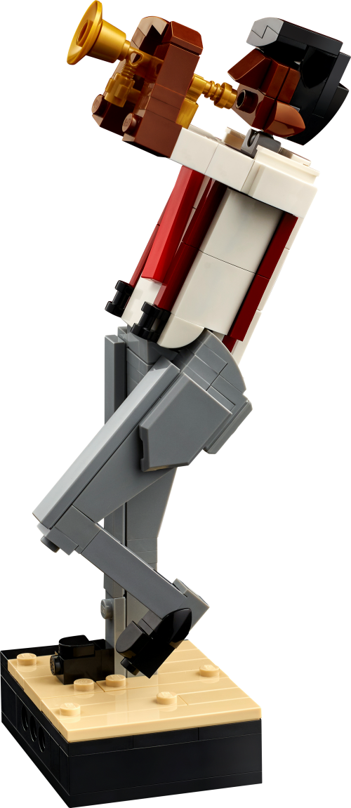Set 21334