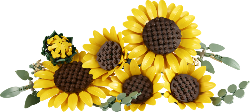 11502 Sonnenblumen