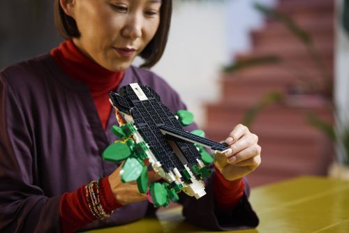 Set 31217