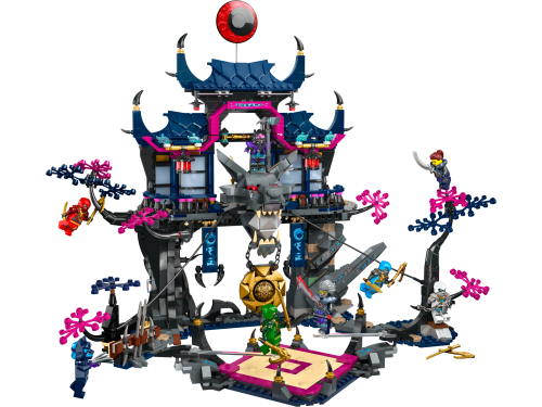 Set 71813