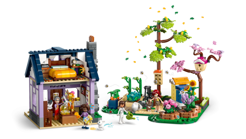 Set 42669