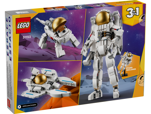 Set 31152