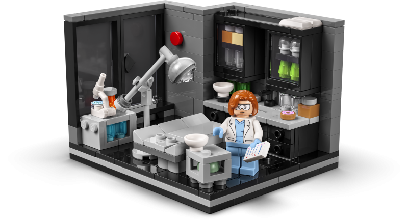 40896 The X-Files: Scullys Labor