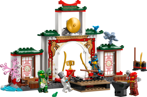 Set 71831