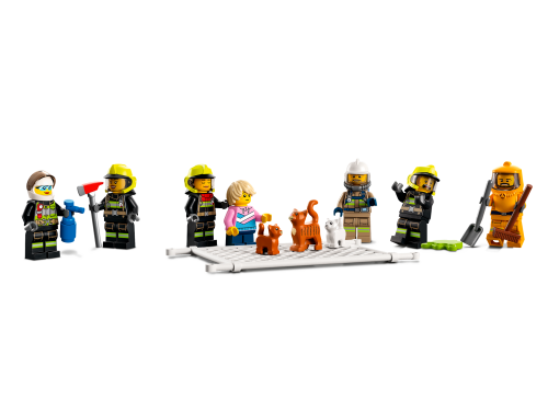 Set 60321