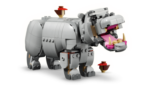Set 31171