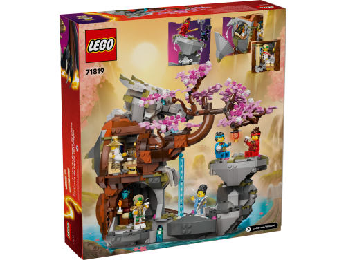 Set 71819