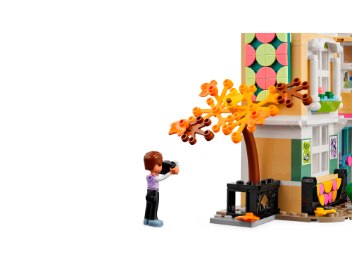 Set 41711