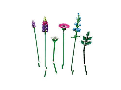Set 10313