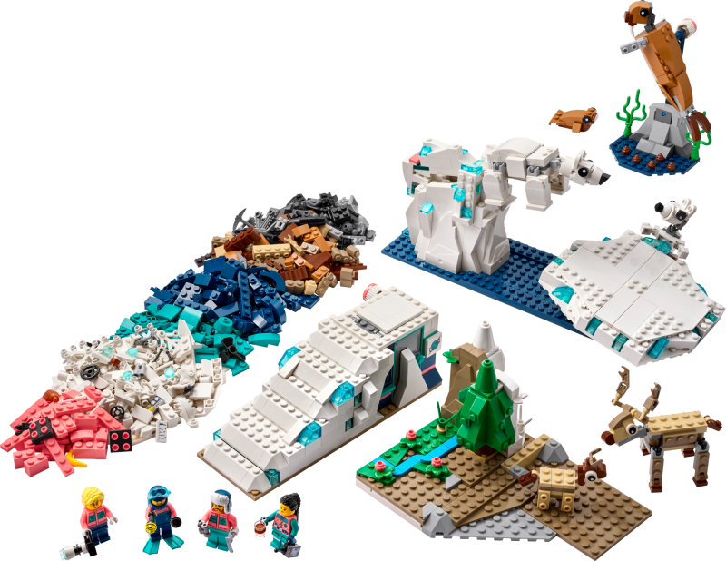 45203 Naturwissenschaften Set Arktis-Tiere