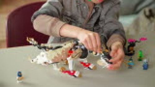 Set 71809