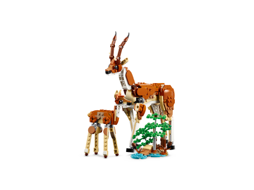 Set 31150