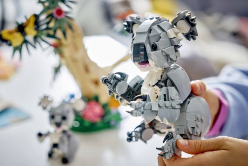 Set 31388