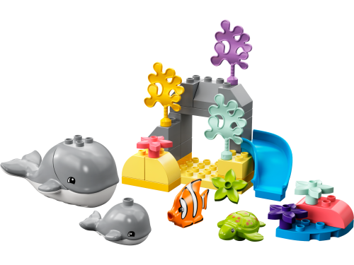 Set 10972