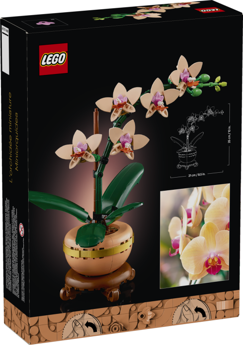 Set 10343