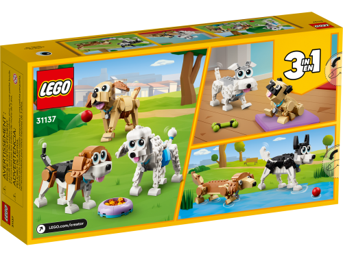Set 31137