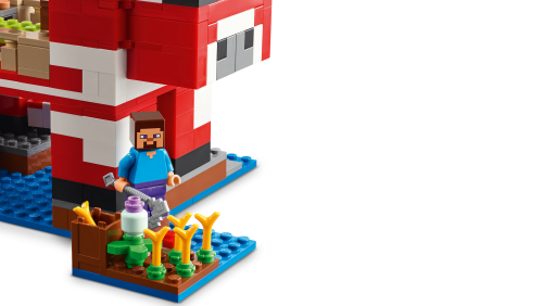 Set 21270