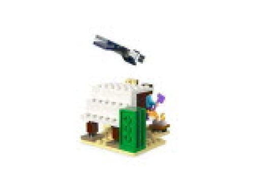 Set 21251