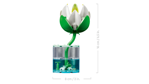 Set 11511