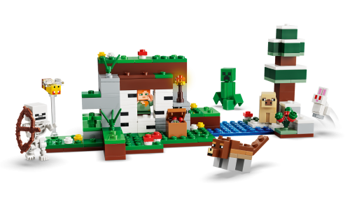 Set 21593