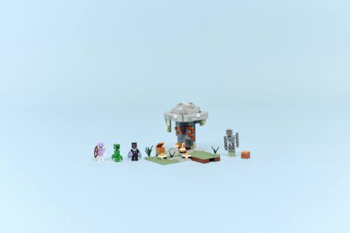 Set 21586