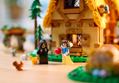Set 43242