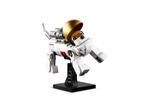 Set 31152