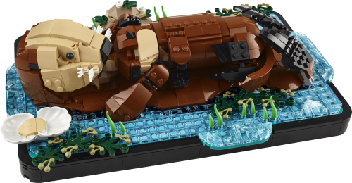 Set 21366