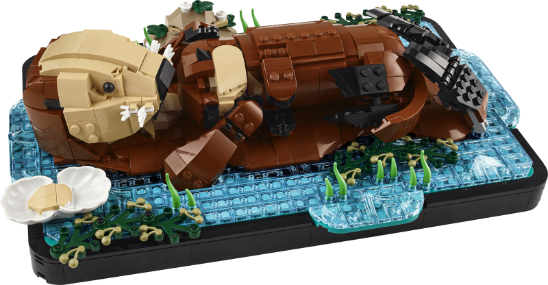 21366 Schwimmende Otter