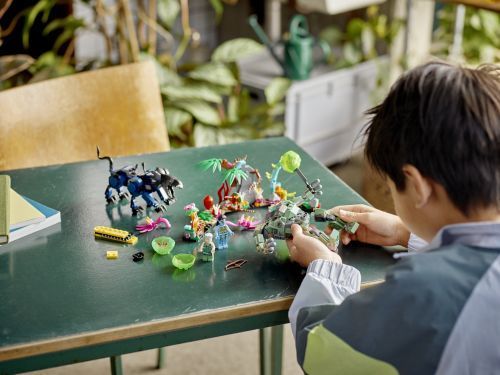 Set 75571