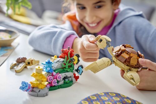 Set 31388