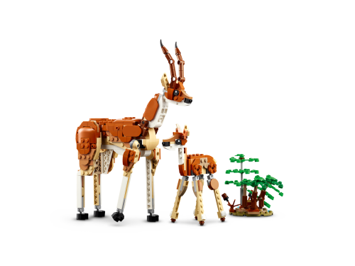 Set 31150