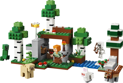 Set 21593