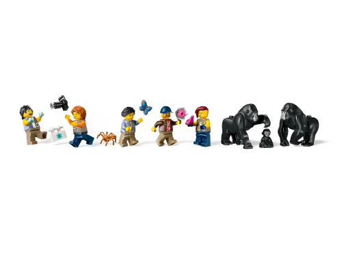 Set 60437
